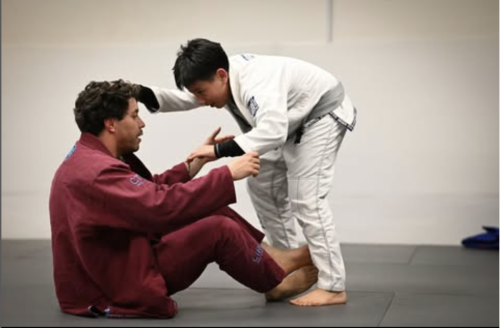 Like Minded Jiu Jitsu
